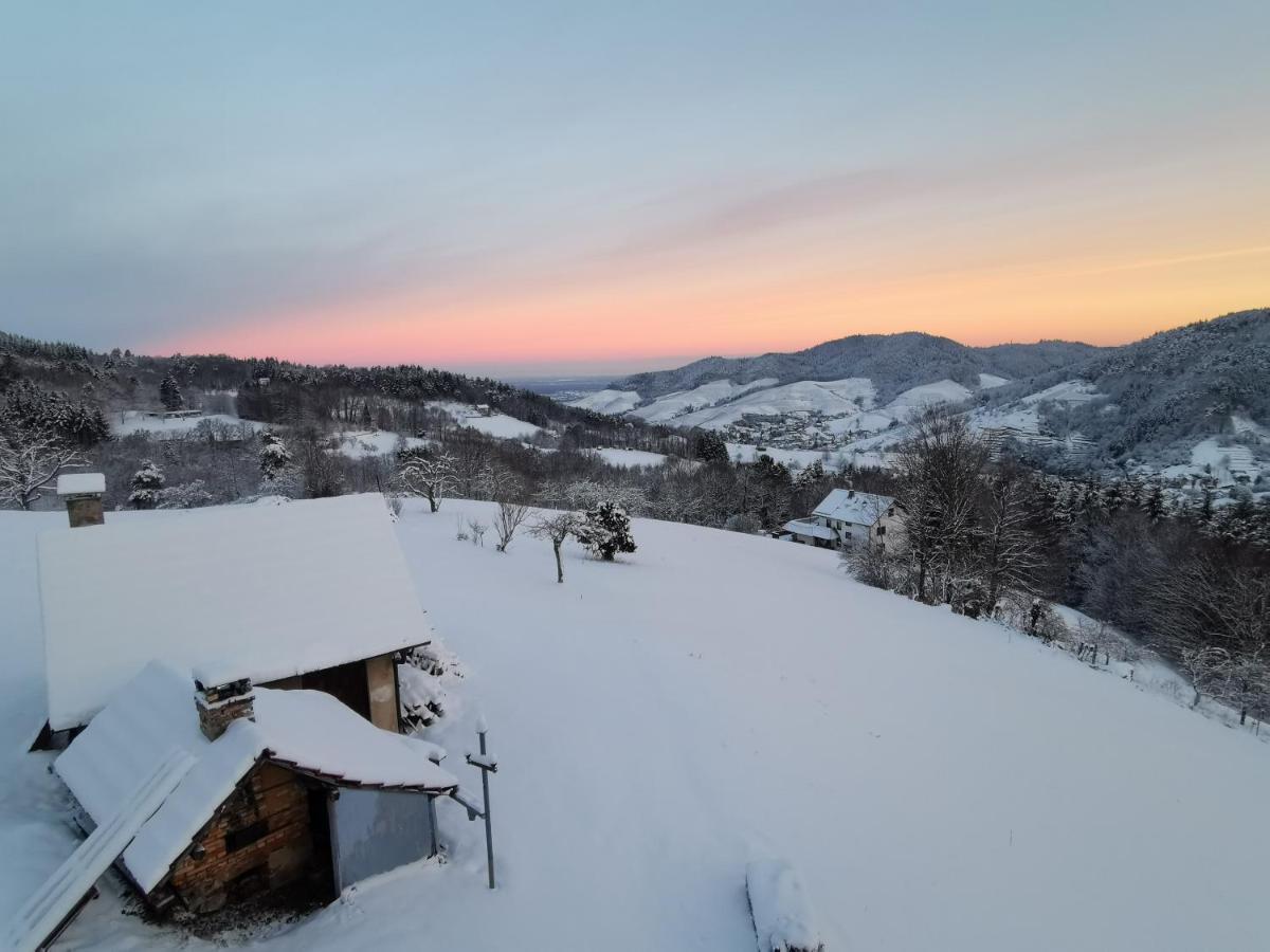 布勒塔尔Haus Am Berg Mit Wellnessbereich, Bar Und Panorama别墅 外观 照片